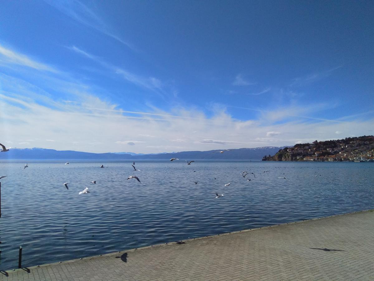 Biljana Lux Apartment Ohrid Exterior foto